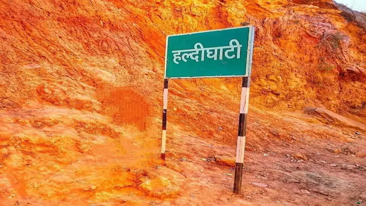 haldigahti